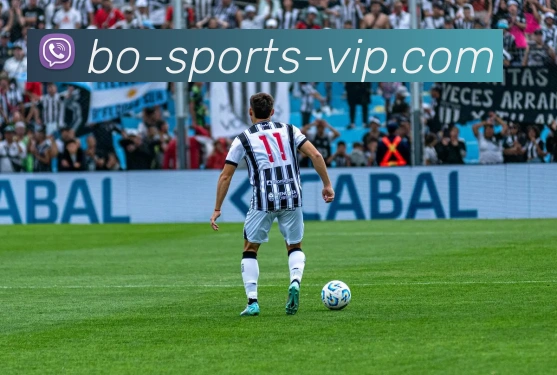 火博体育APP 体育赛事宣传图